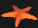 starfish-0