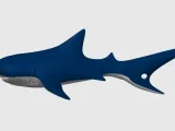 Tiger Shark, Keychain-1