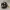 Alexa Echo - Chain Chomp