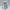Knitted Narwhal Winter Buddy – Noah0x03