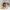Princess Leia Funko - star wars- Creality Cloud Exclusive