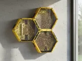 Modular Indoor Bee Hive – Stackable Hexagon Frames-1