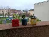 Petits pots de fleurs mario - Petits pots de fleur mario-2