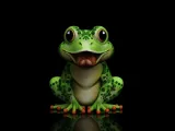 Frog-1