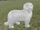 Dog Labrit-1