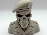 Buste de squelette militaire-0