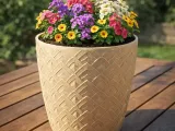 FLOWER POT-1