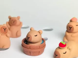 Cute Capybara