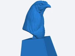 trofeo gallo