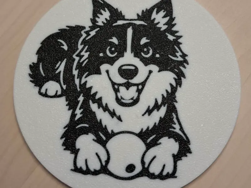Border Collie mit Ball-Untersetzer und Halterung