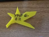 your did it pin-1