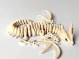Flexi Skeleton Dragon-8