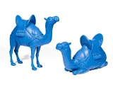 Camels-1