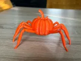 Halloween pumpkin spider-2