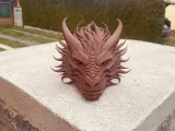 Dragon Head-7
