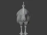 Cassowary-6