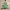 Hanging Christmas Tree with Baubles, Tinsels and Star