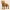 Pit Bull – Roots of Life