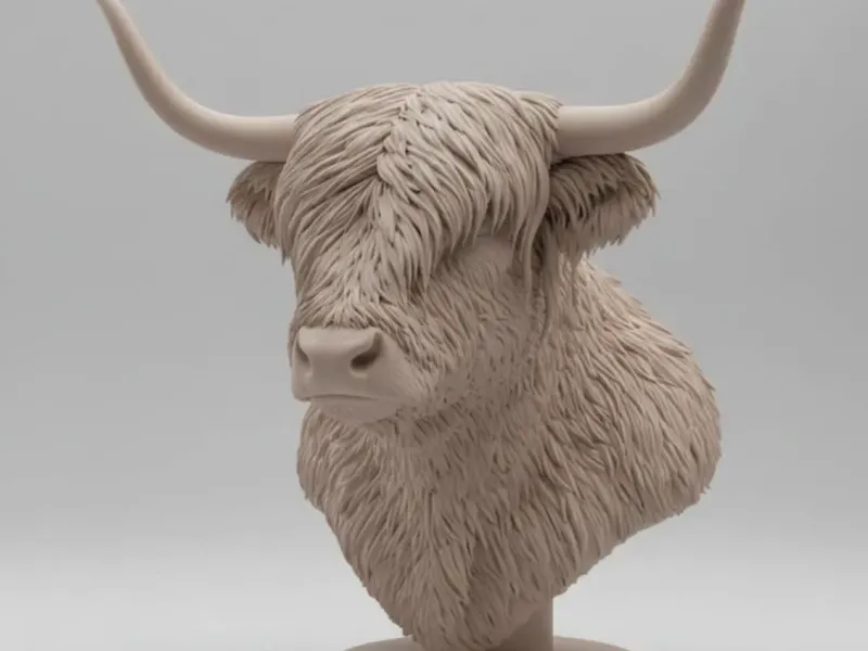 highland cow bust