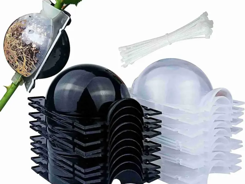 MACETA PARA INJERTOS ARBOLES
