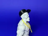 Cool buddy in snapback-3