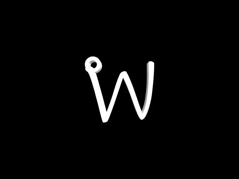 W keychain