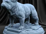 Bulldog-0