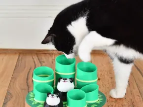 Panda Habitat Play Set Cat Toy