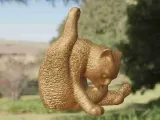 Cat cleaning-1