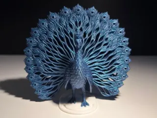 Peacock