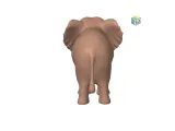 Elephant-2