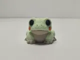 Fluffy Toad-1