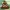 Llavero emoticon Poo