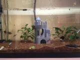 Aquarium Lock-2