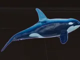 whale-1