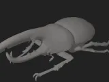 Hercules Beetle HD-0
