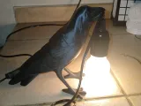 Crow-shaped lamp-1