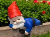 Shelf Sleeping Gnome-0