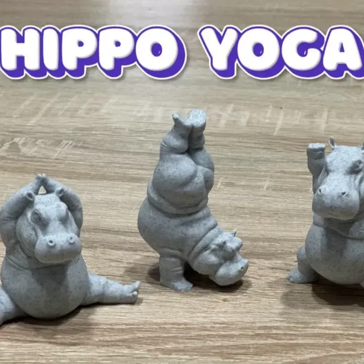 Hippopotame en yoga (pose amusante)