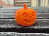 Cut Pumpkin-4
