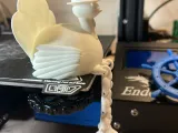 Tacchino con zampe-1