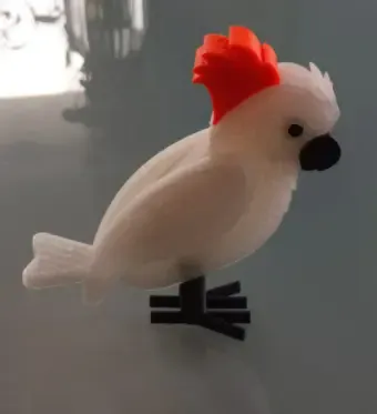 Cockatoo Update new Version MichaelMayer