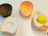 Egg structure-2