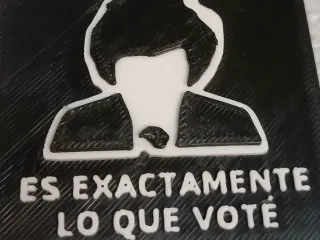 Es Exactamente Lo Que Voté