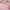 Hello Kitty Tissue Box - Cute Pink Tissue Holder