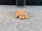 Cute Dog-8