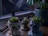 Rootbound Skull Planter-1