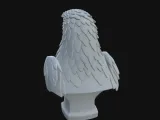 Eagle Bust-2