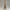 Roman Slave Girl 1