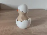 Hatched Chicken-5